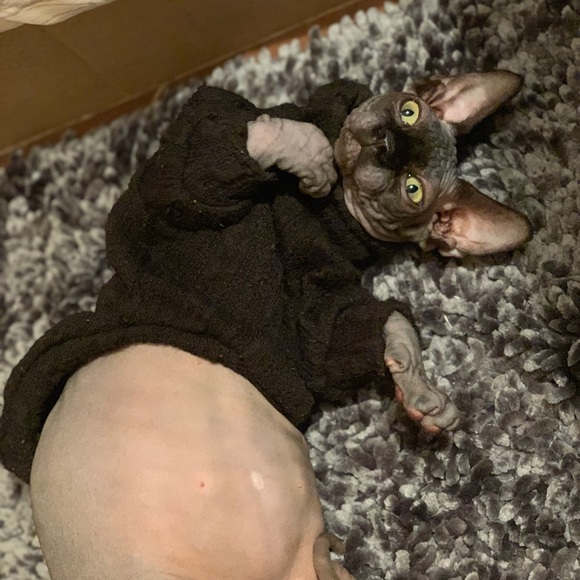 Meet your seller!!! ❤❤❤ (no trading please!!!) - Picture 1 of 1